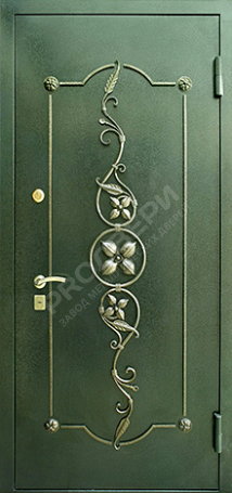 Фотография «Дверь с ковкой №1»